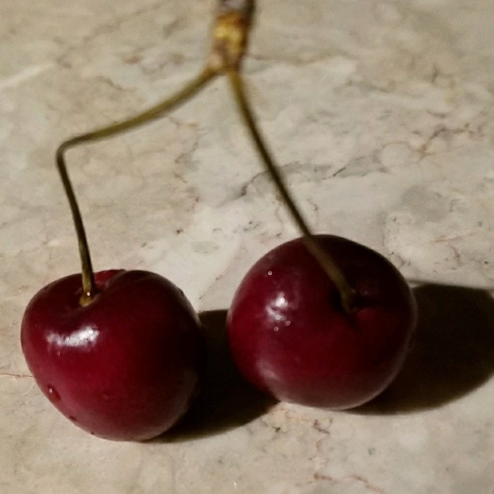 Meet your Posher, Sue