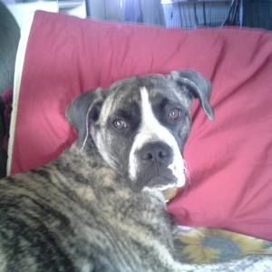 Meet your Posher, Candace