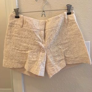 Ann Taylor LOFT shorts
