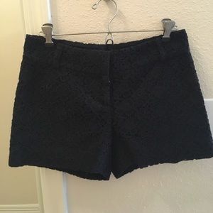 Ann Taylor LOFT shorts