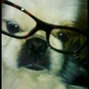 Meet your Posher, Cathia