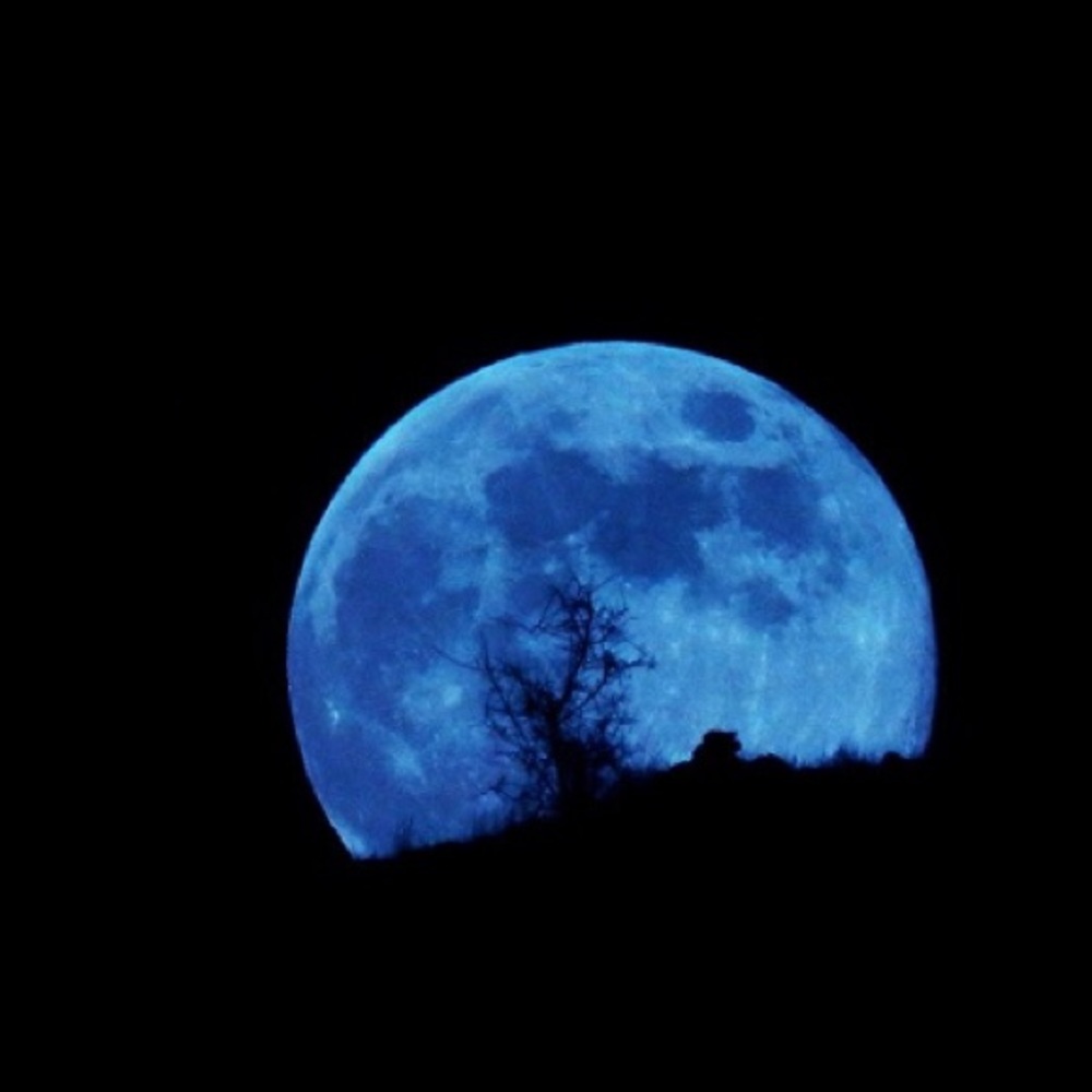 Bundle 11 Soy Wax Tarts for bendtheteendz