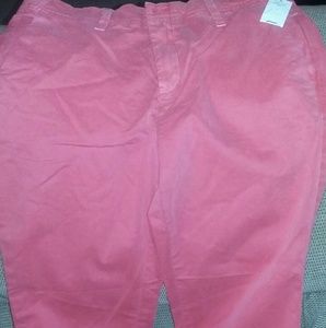 GAP NWT chinos