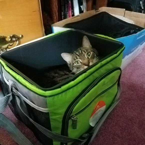 Meet your Posher, Breanne - Picture 1 of 1