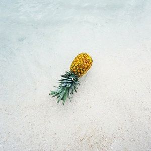 Meet your Posher, Kendyl