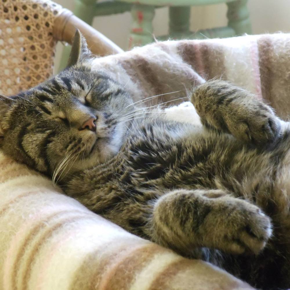 Meet your Posher, Lynn