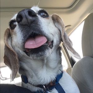 Meet your Posher, Kathleen