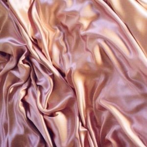 Meet your Posher, Lani