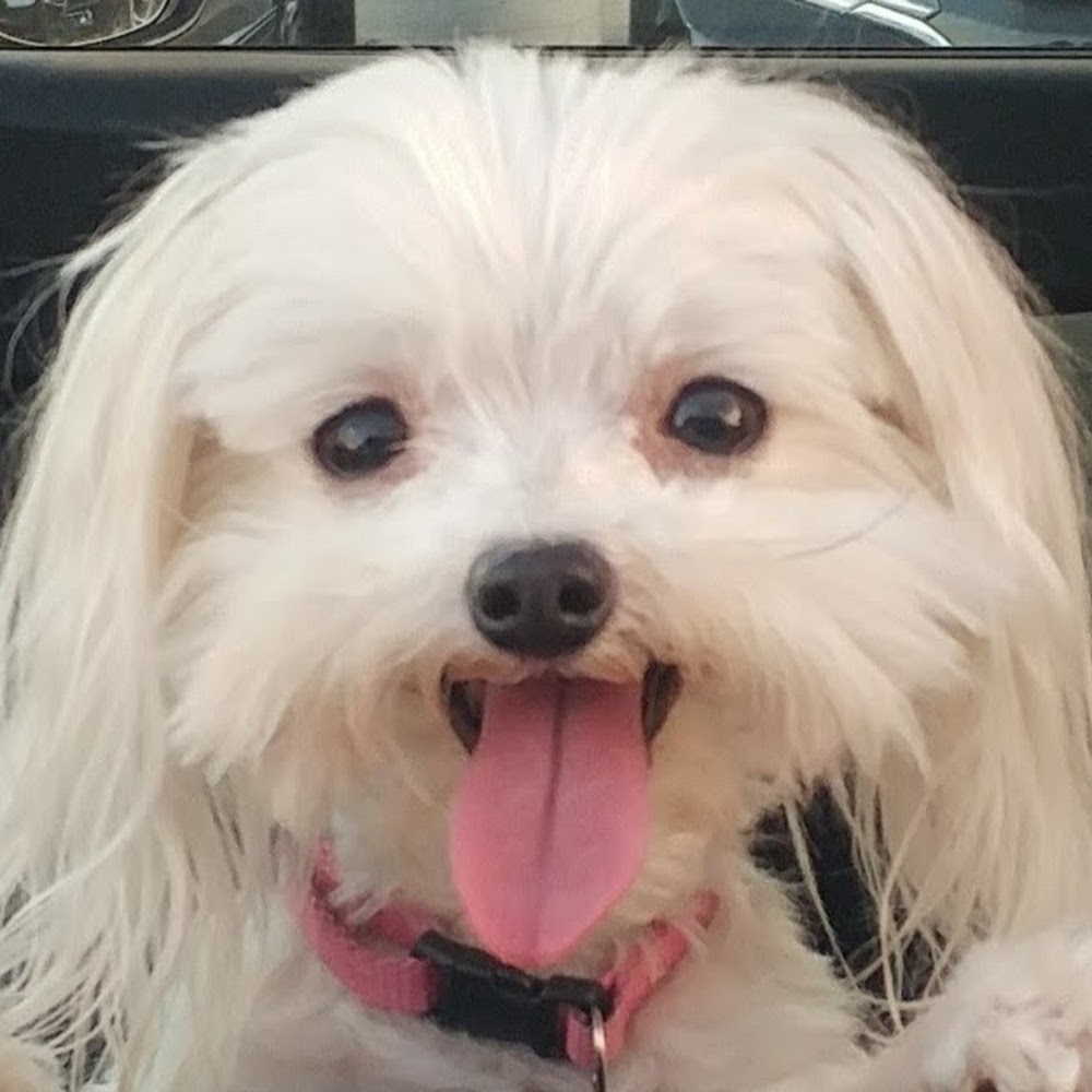 Meet your Posher, Liesa