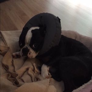 Meet your Posher, Melanie