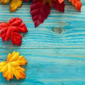 Meet your Posher, Jami