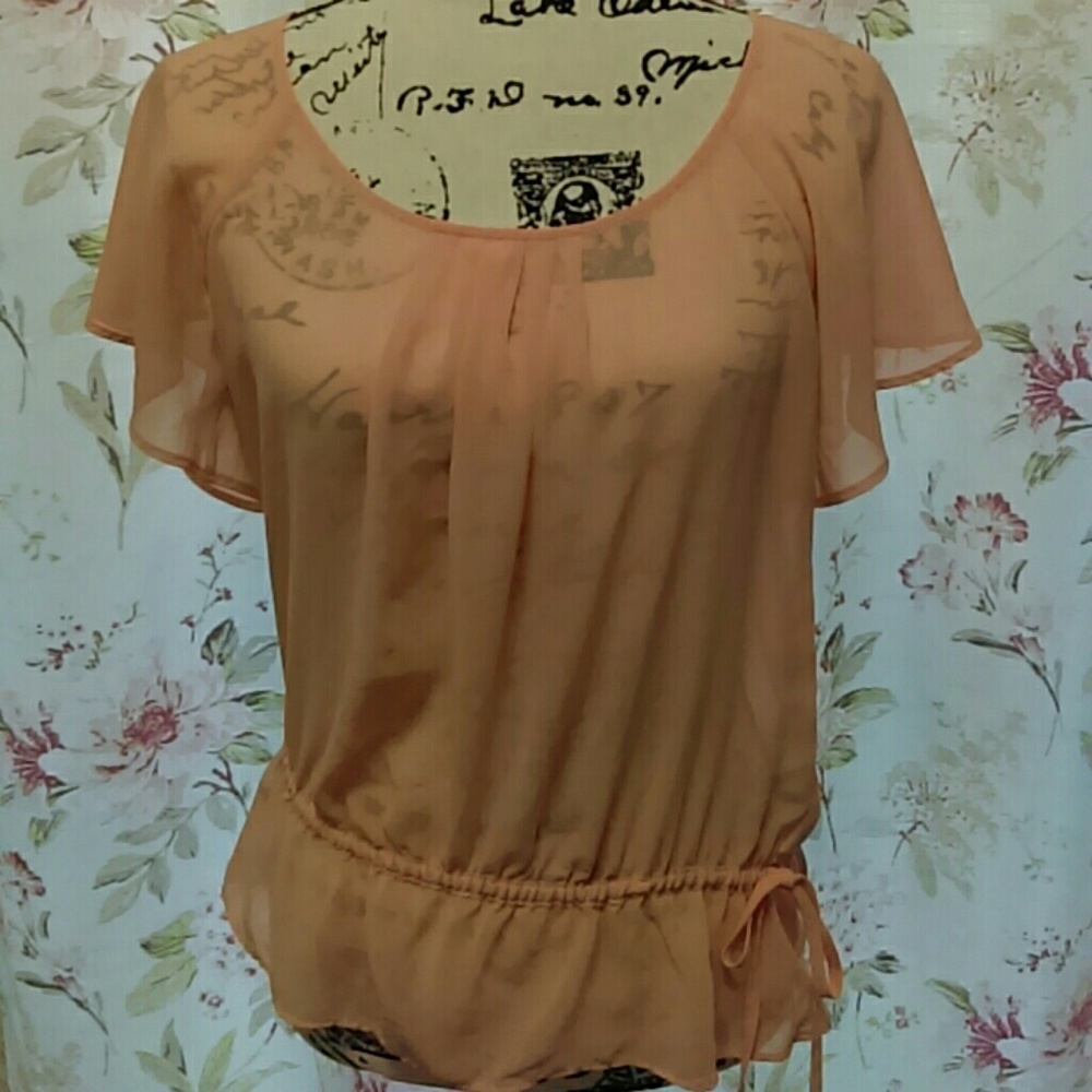 Sheer Blouse