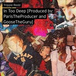 Meet your Posher, Augustine