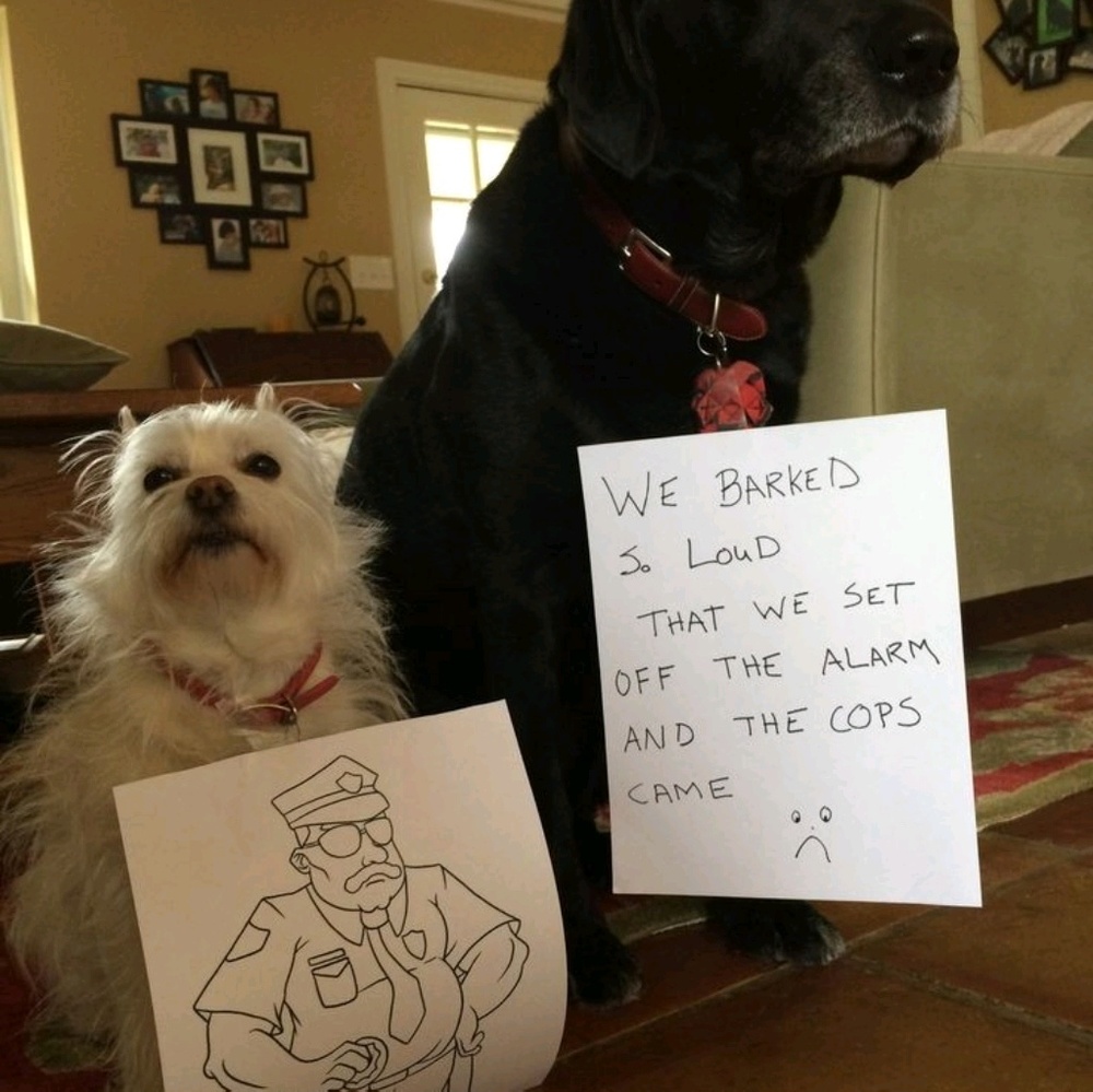 Meet your Posher, Patricia