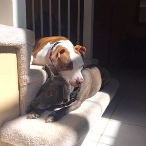 Meet your Posher, Kelsey