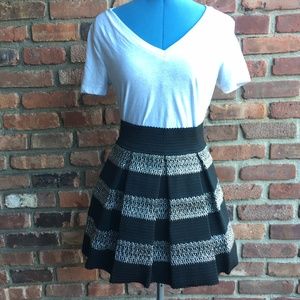 Black and Silver Striped Skater Skirt