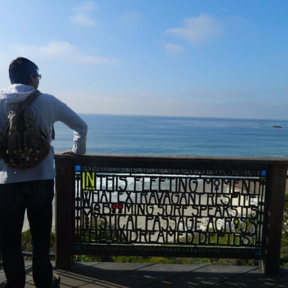 Meet your Posher, Al - Picture 3 of 8