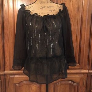 Panhandle Slim Semi Sheer Peasant Blouse