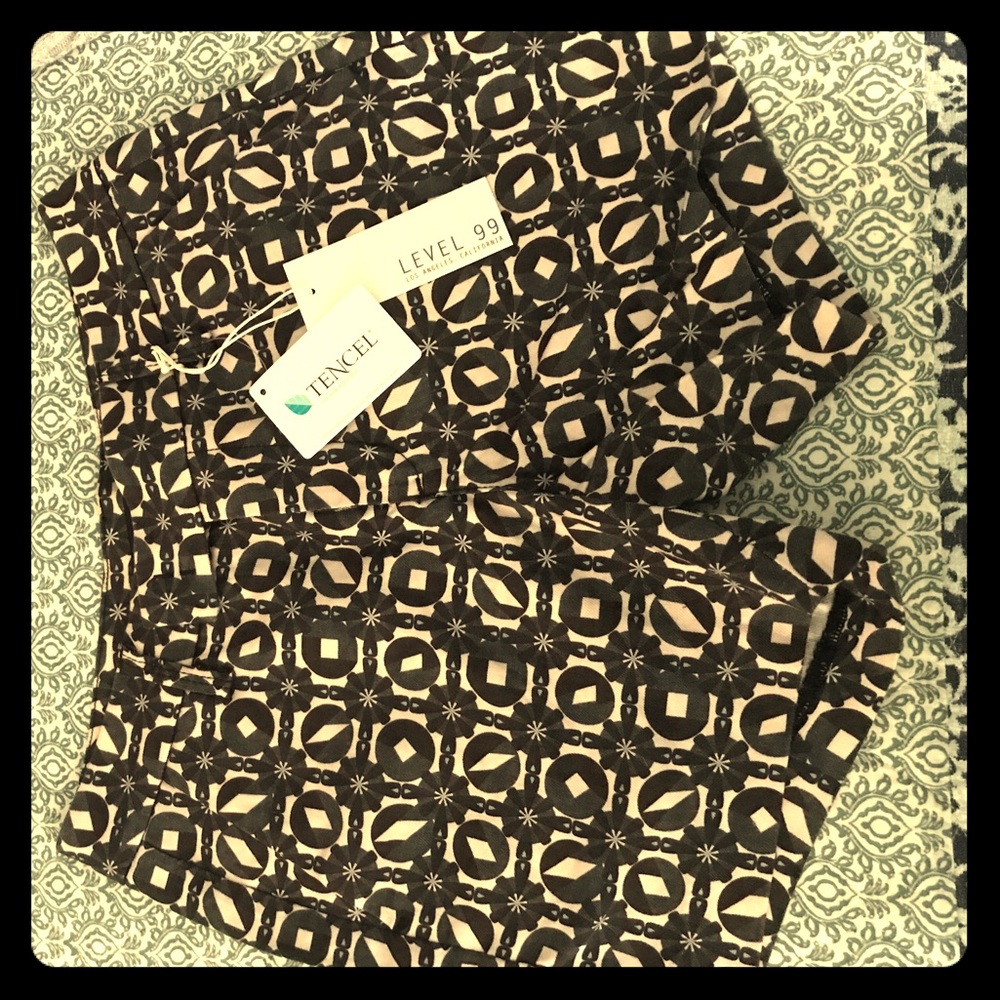 A size 2 pair of shorts from stitch fix.