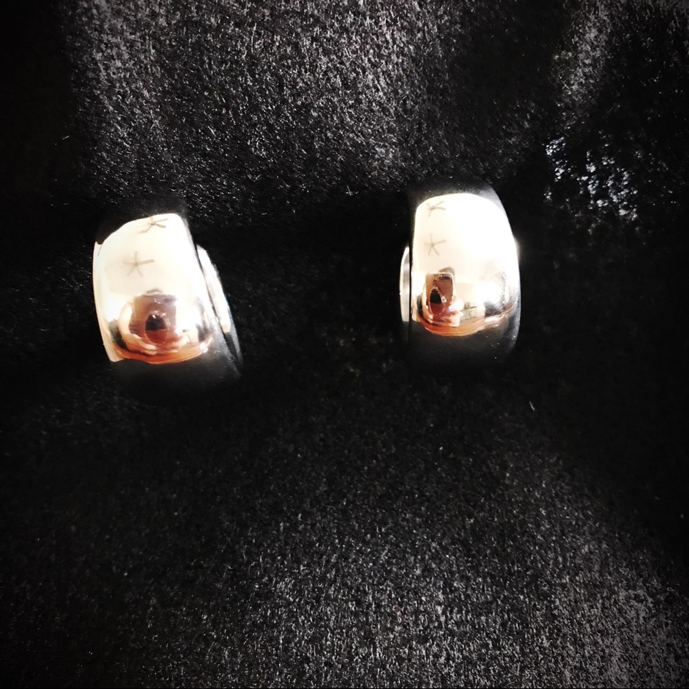 Stainless steal silver earrings.