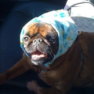 Meet your Posher, Heidi