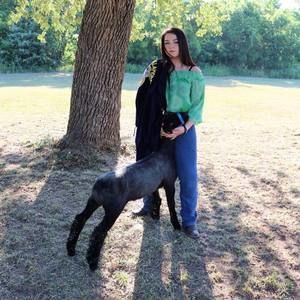 Meet your Posher, Shelby