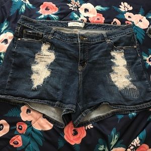 Torrid shorts