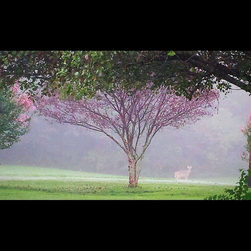 Meet your Posher, Patricia