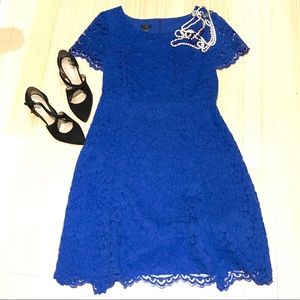 Royal colbalt blue Talbots petite lace dress