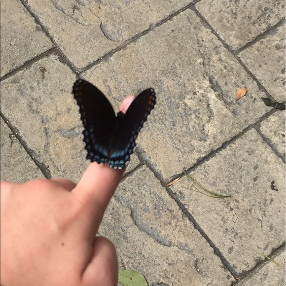 Meet your Posher, Madison - Picture 1 of 1