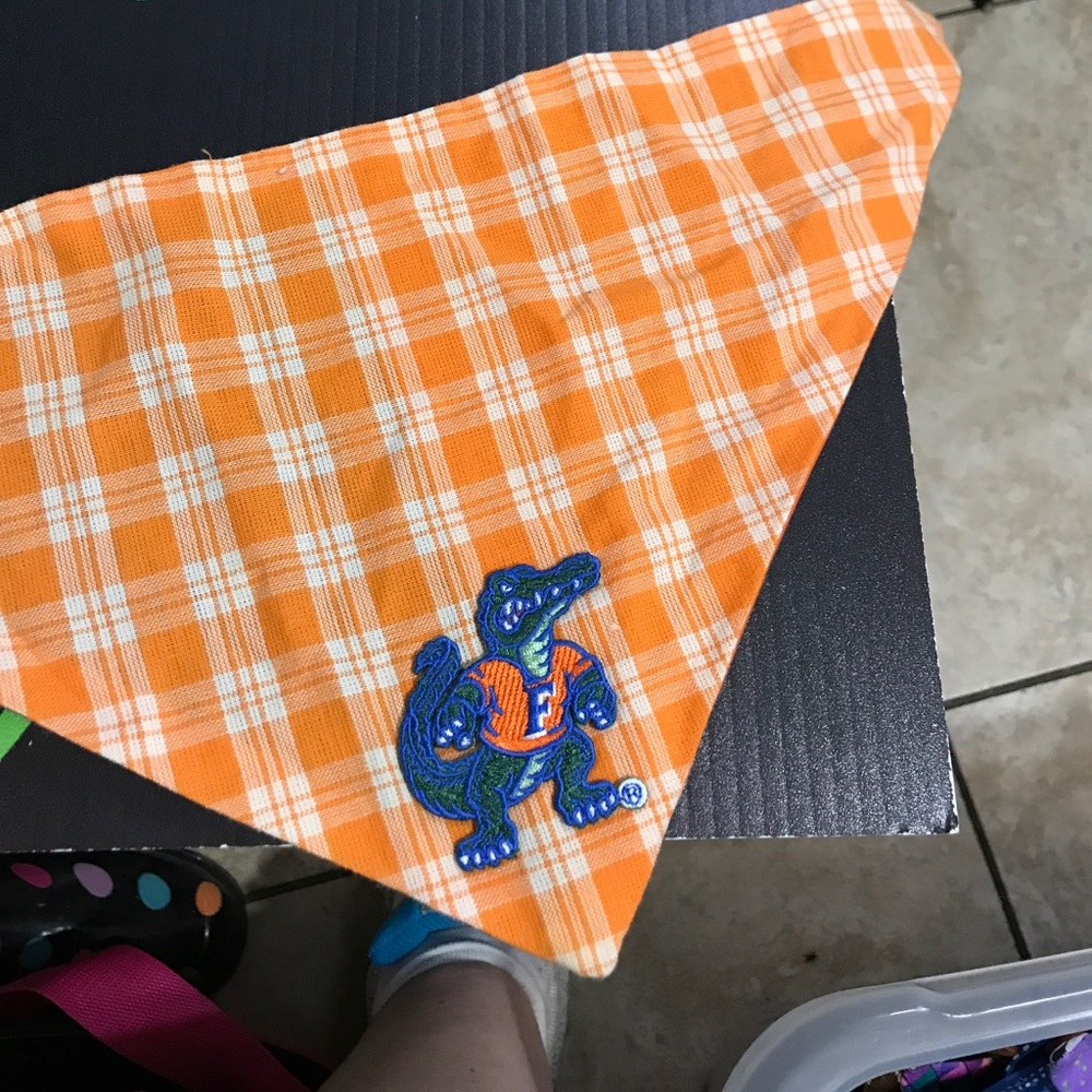 Pet bandanas GO GATORS!