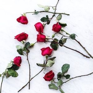 Bookmark my closet 📩 or email me for customs work