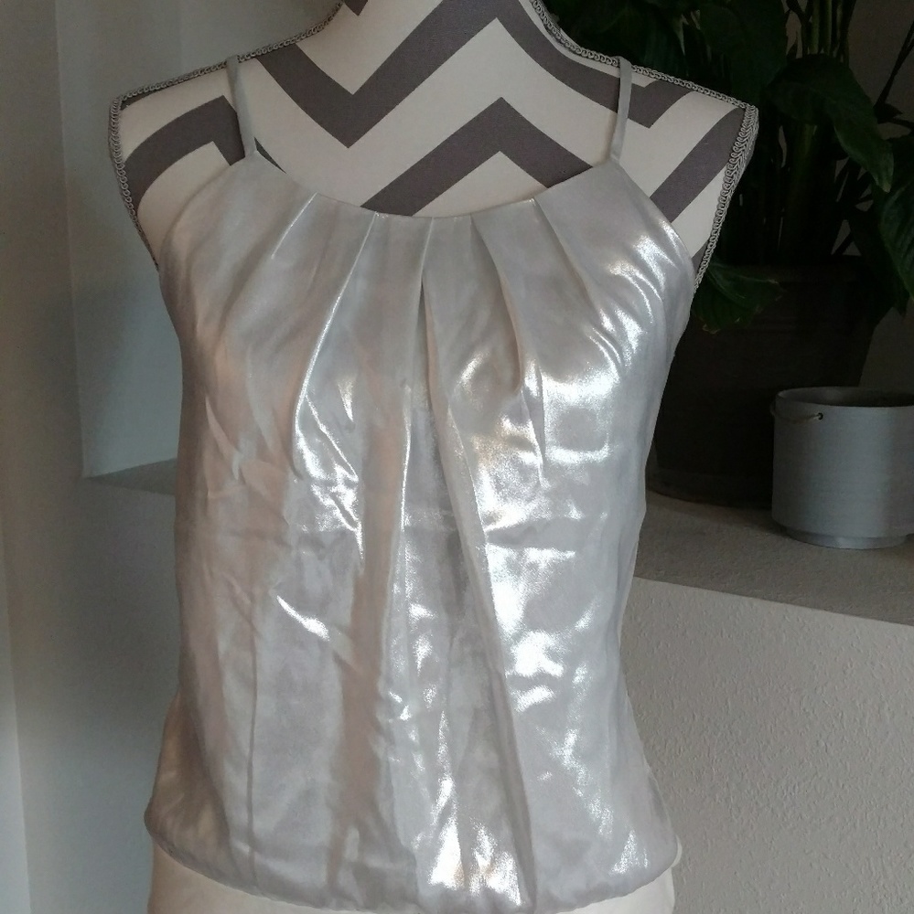 ❄WINTER SALE❄ NWOT Express Silver Holiday Tank Top