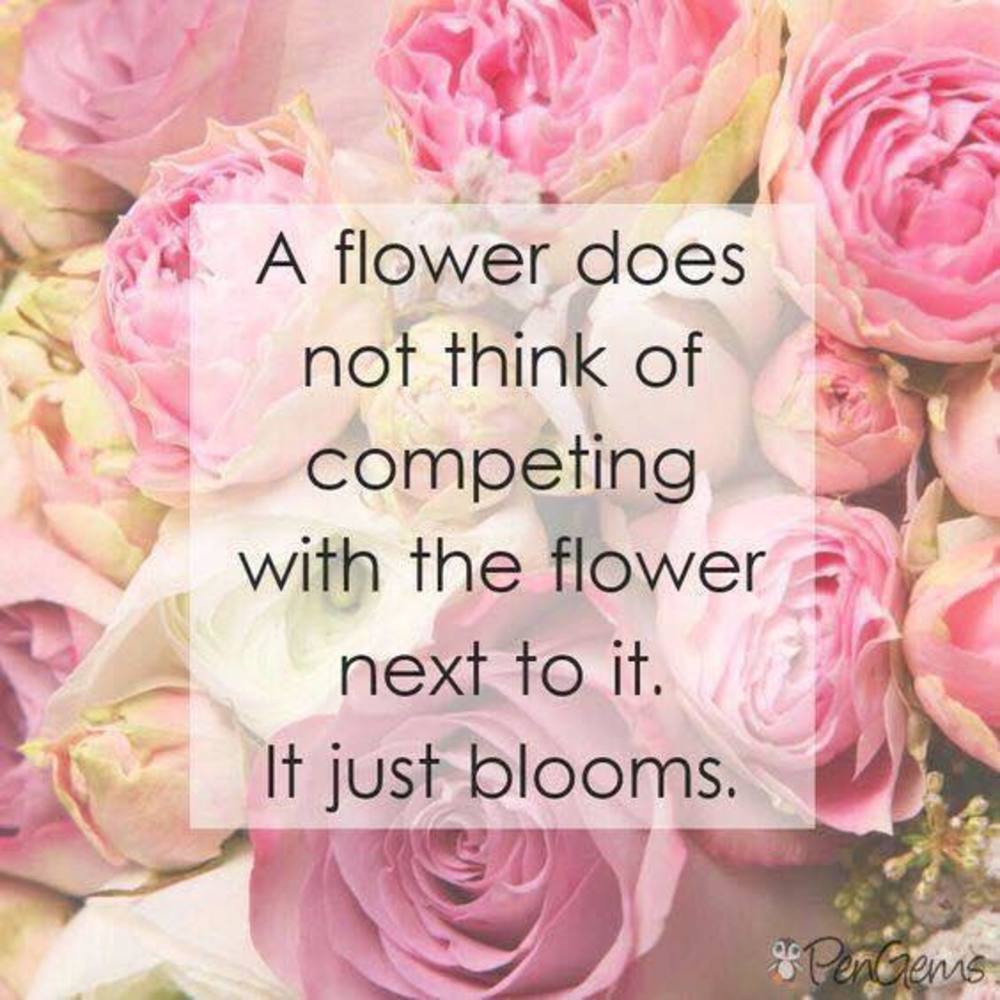 Meet your Posher, Laddavanh