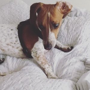 Meet your Posher, Charlotte