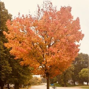 Meet your Posher, Kellie