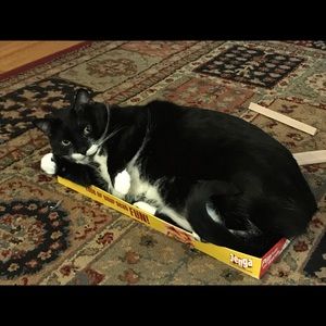 Meet your Posher, Paula