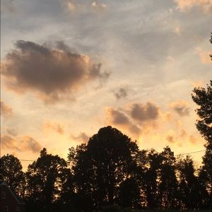 Meet your Posher, Lexi