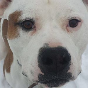 Meet your Posher, Becky