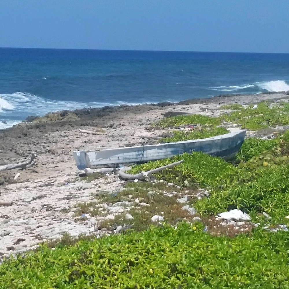 Meet your Posher, Denise