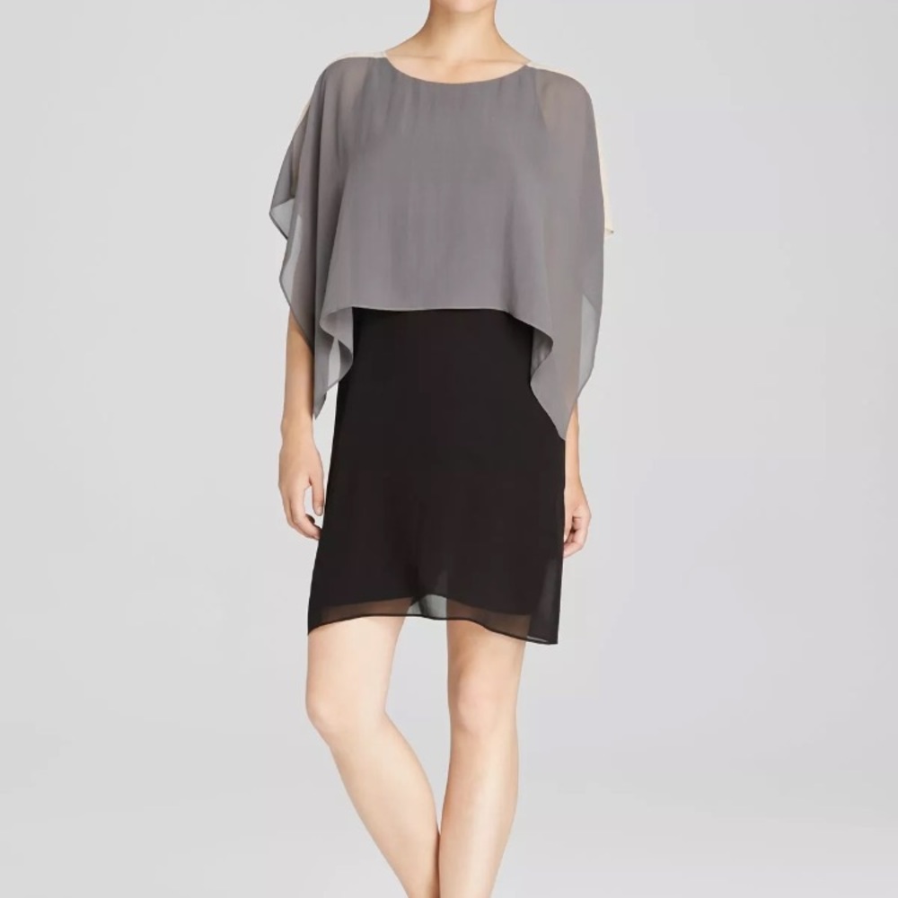 Eileen Fisher Sheer Overlay Silk Georgette dress.