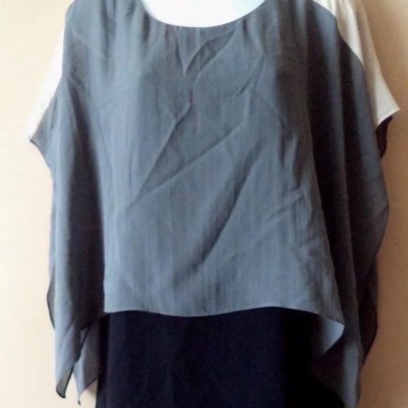 Eileen Fisher Sheer Overlay Silk Georgette dress. - Picture 3 of 8