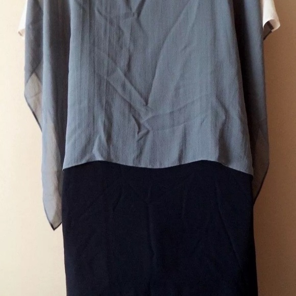 Eileen Fisher Sheer Overlay Silk Georgette dress. - Picture 6 of 8