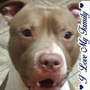 Meet your Posher, Danyell