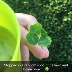 Meet your Posher, Carol