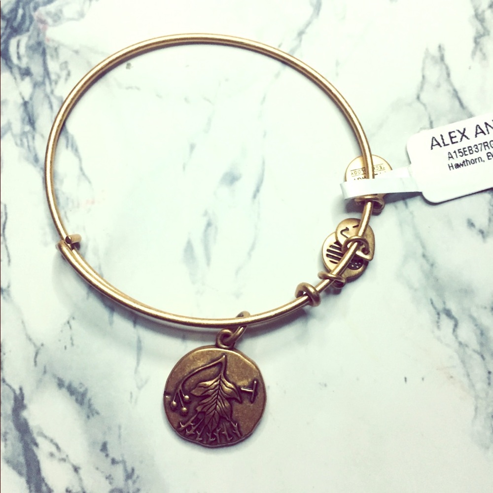 Brand new authentic Alex and ani bracelet