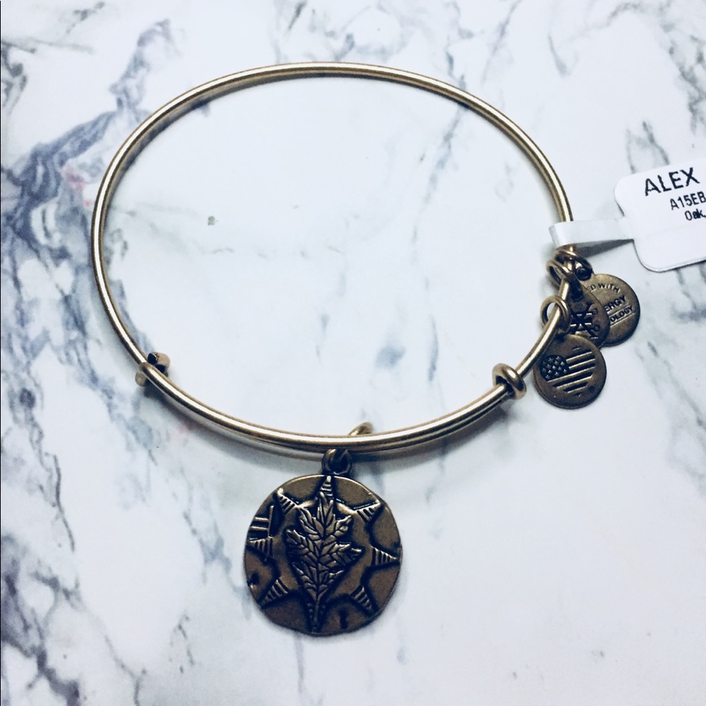 Brand new authentic Alex and ani bracelet