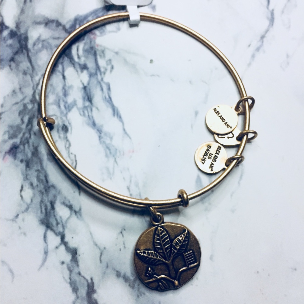 Brand new authentic Alex and ani bracelet