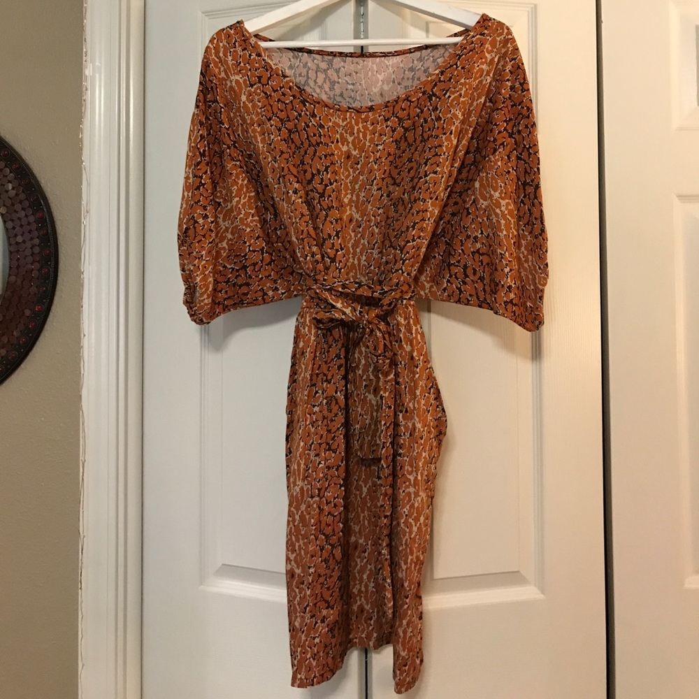 H&M Animal Print Dress