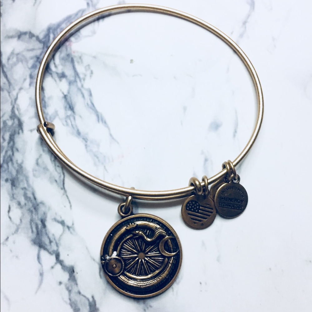 Brand new authentic Alex and ani bracelet